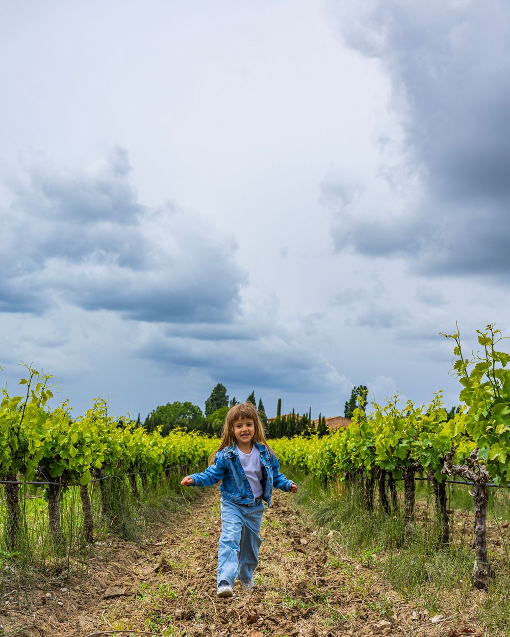 Enfant courant entre les vignes pendant un shooting famille près d’Aix-en-Provence