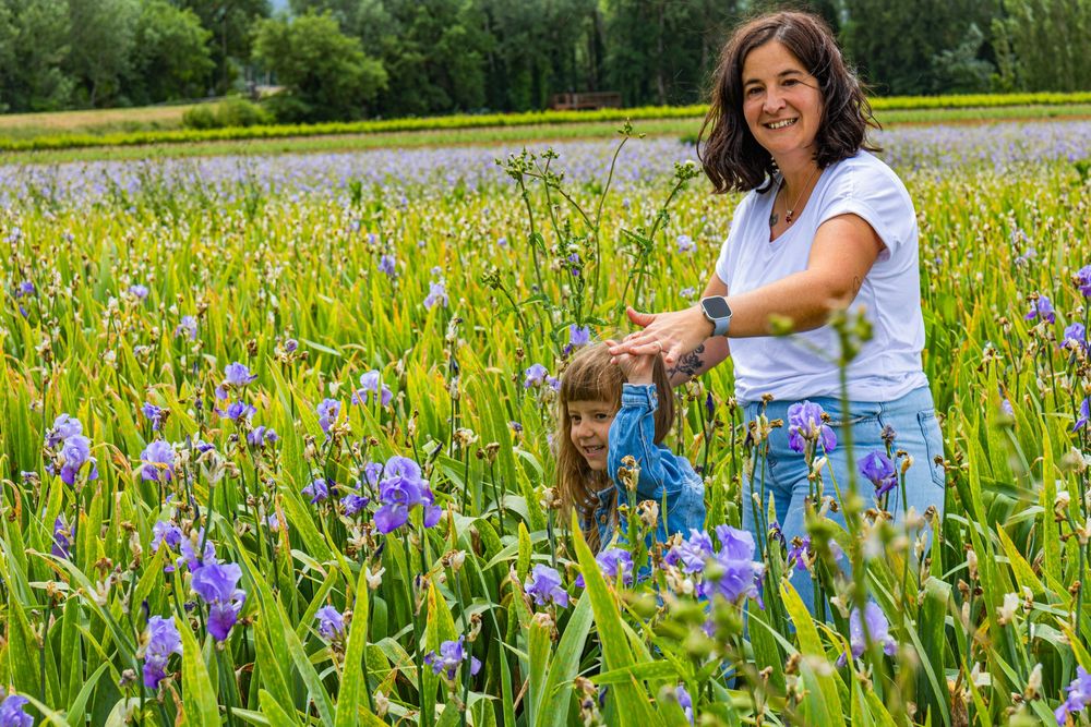 Portrait de maman dans un champ d’iris lors d’un shooting photo famille près d’Aix-en-Provence