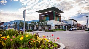 Modern retail shopping center with colorful tulip garden, palm trees, and blue sky in sunny Florida.