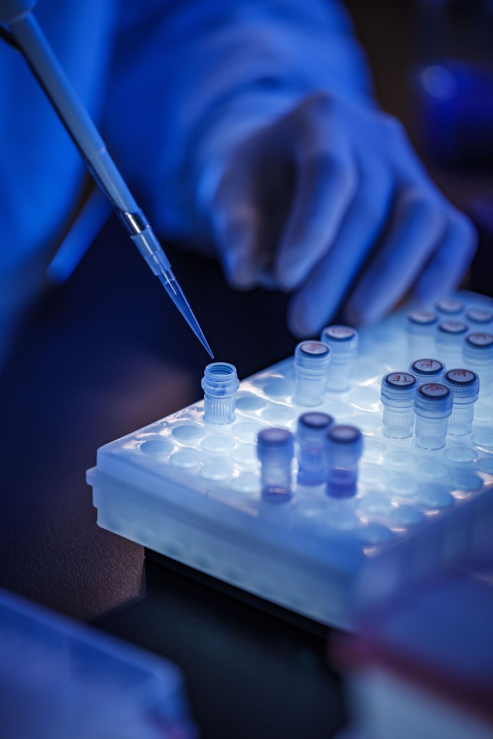 Scientist using a pipette to transfer samples into vials on an illuminated lab tray, wearing blue gloves.
