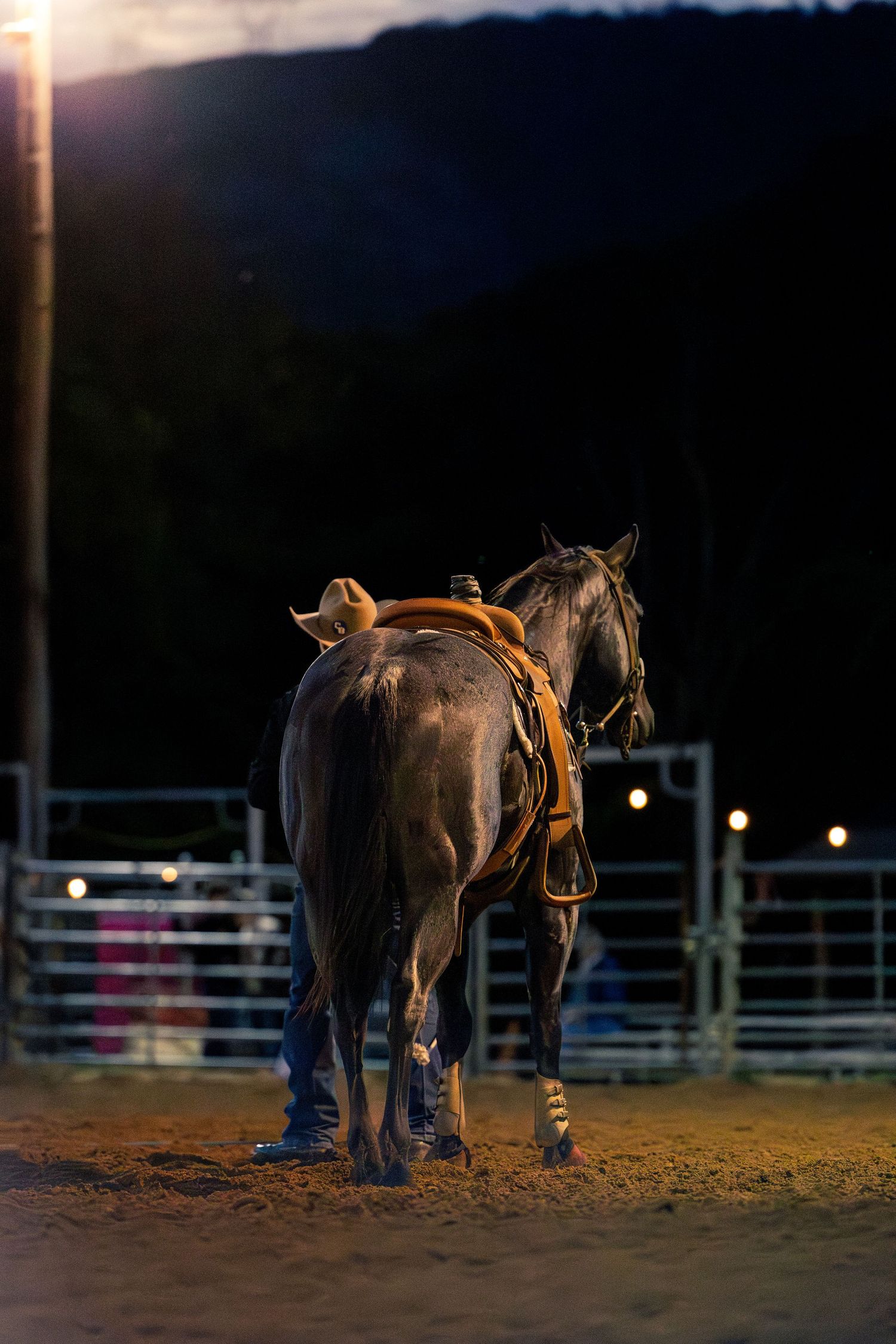 Cowboy and his horse under arena lights