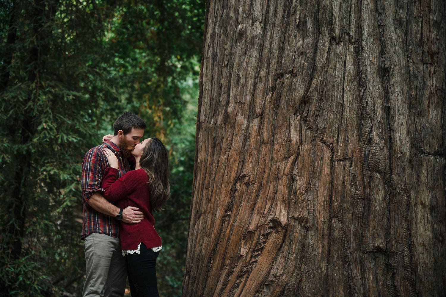 Couple sharing a romantic kiss beside a massive redwood tree in a lush green forest setting.