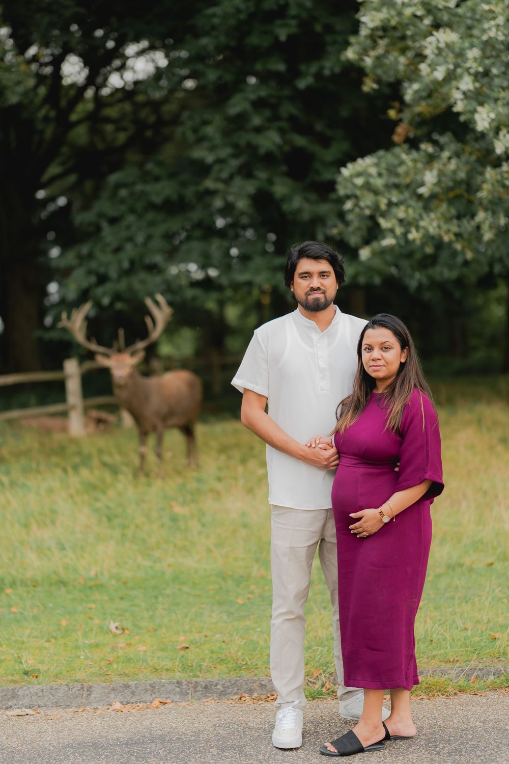 Pregnant couple posing outdoors in a park with a majestic stag deer visible in the background.