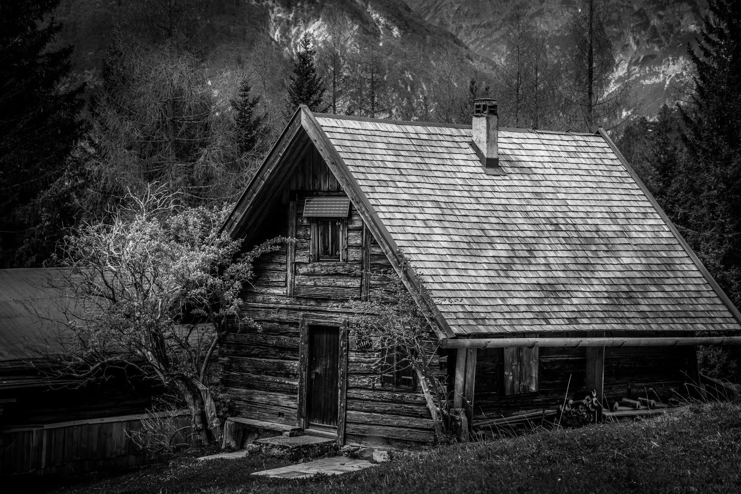 Black and white photo of a rustic wooden log cabin with a steep shingled roof surrounded by trees and mountains.