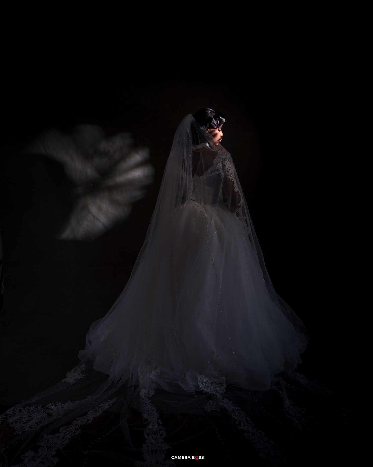 Bride in white gown and veil poses dramatically against dark background with ethereal bird silhouette in moody wedding photo.