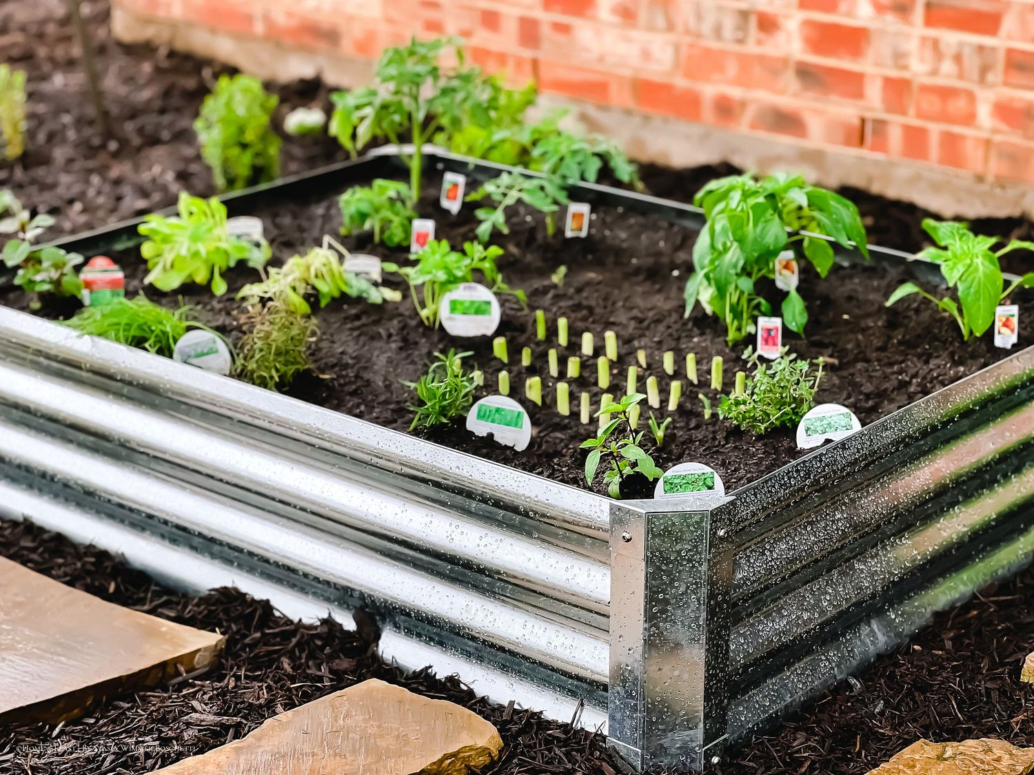 Two raised metal garden beds with young plants and dark soil, placed against a brick wall outdoors.