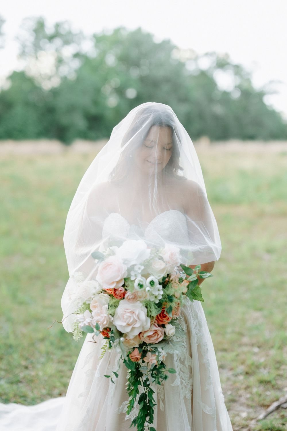 Bride in white gown and veil holding lush cascading bouquet with blush roses and greenery in an outdoor field setting.
