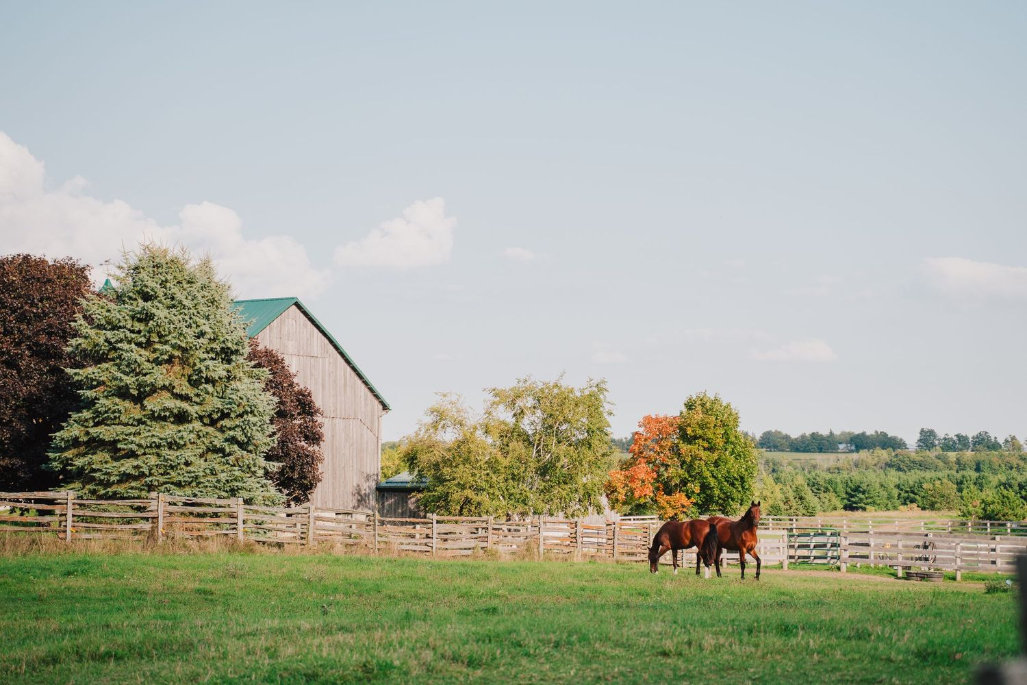 A series of panoramic rural farm scenes with wooden fences, barns, and horses grazing in green pastures.