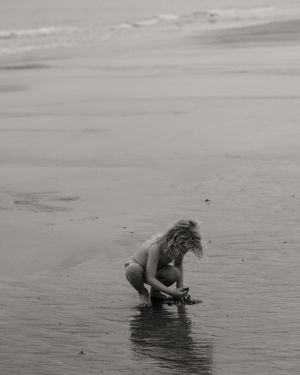 A figure crouches in shallow water on a misty beach examining something in the sand.