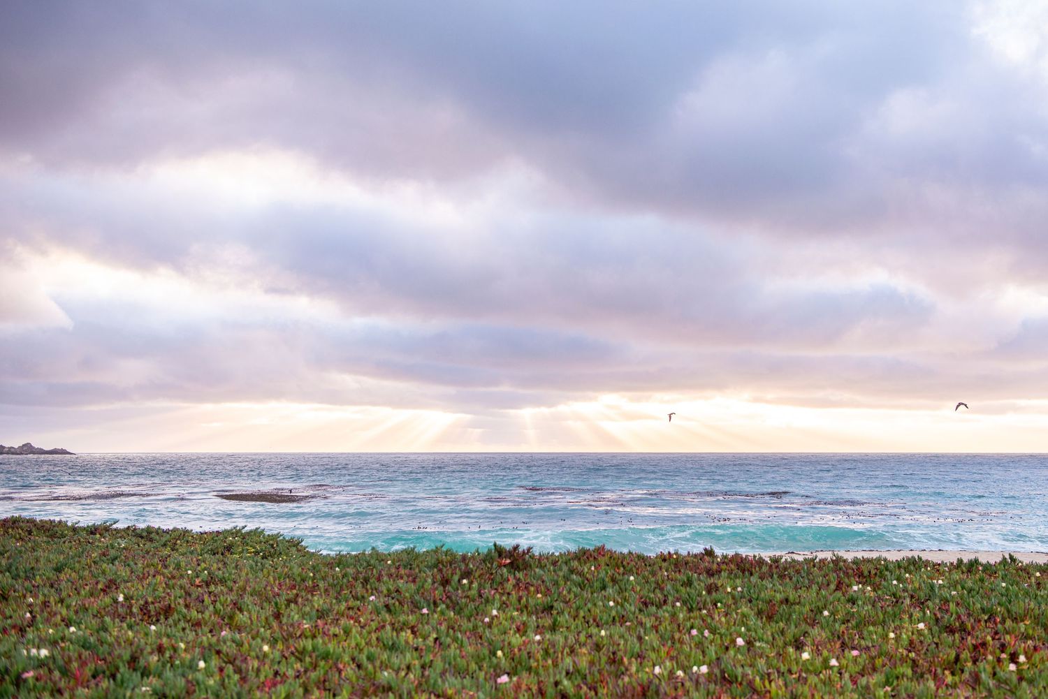 A series of panoramic landscape photos showing dramatic cloudy skies over coastal terrain and fields at sunset.