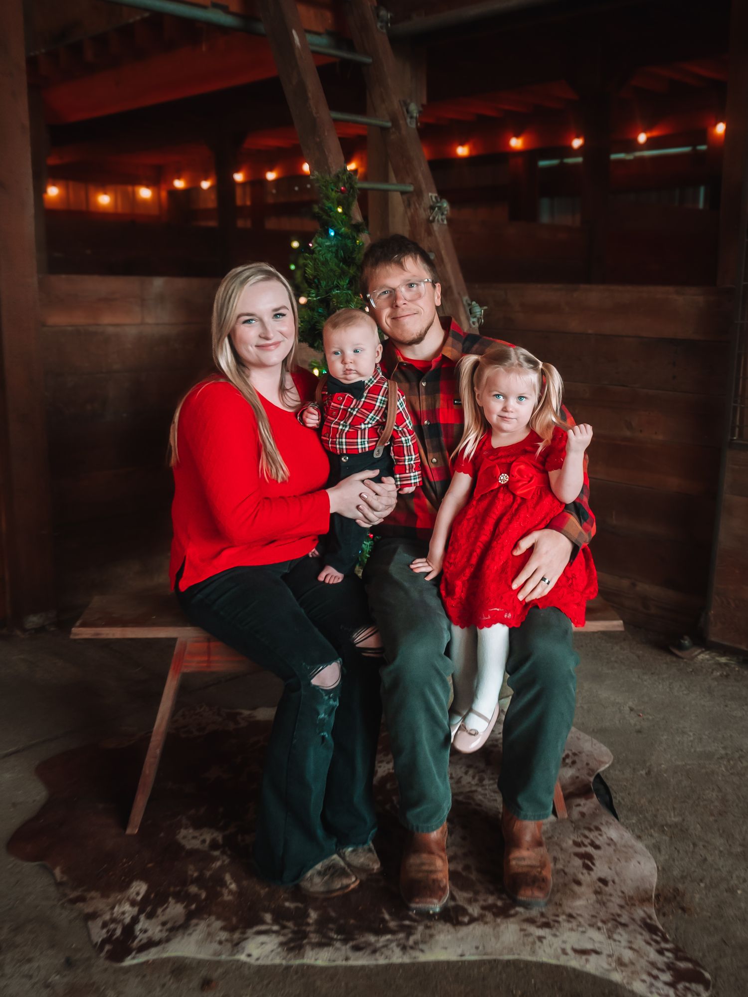 Family Christmas minis held annually