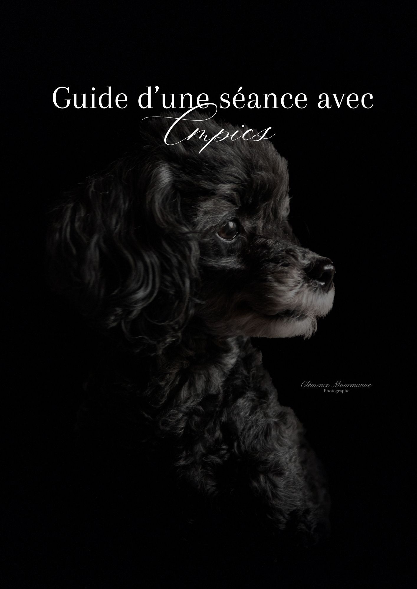 Dark artistic portrait of a dog with dramatic lighting against black background.