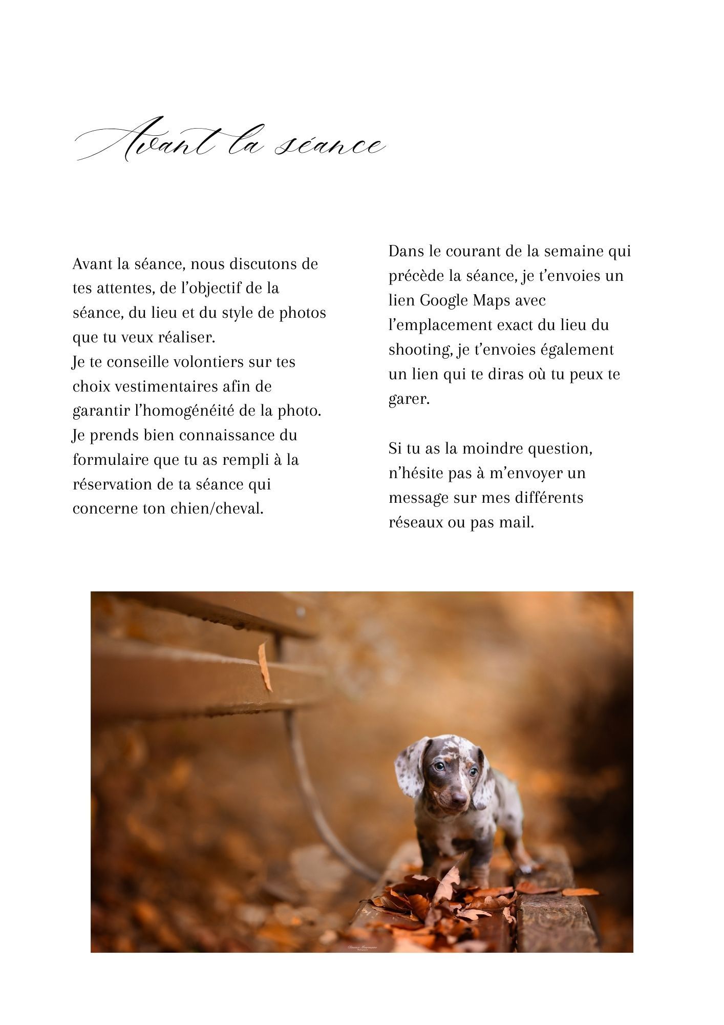 A series of four brown and beige photos arranged horizontally showing abstract artistic compositions.