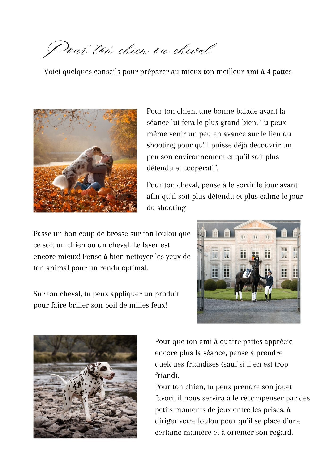 A collage of autumn nature photos and architectural images arranged in a magazine layout style with French text.