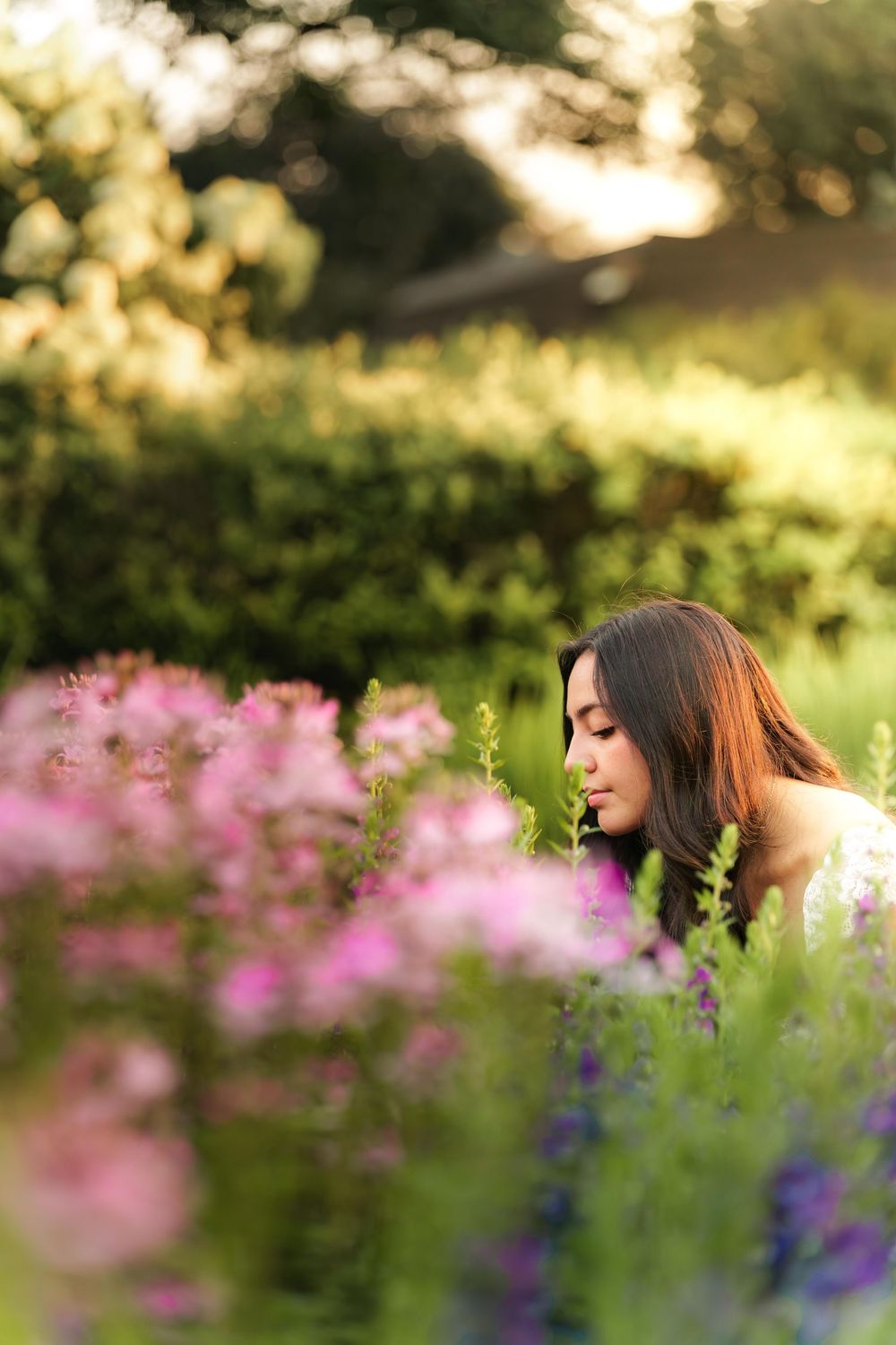 Dreamy portrait series among pink and purple wildflowers at golden hour.