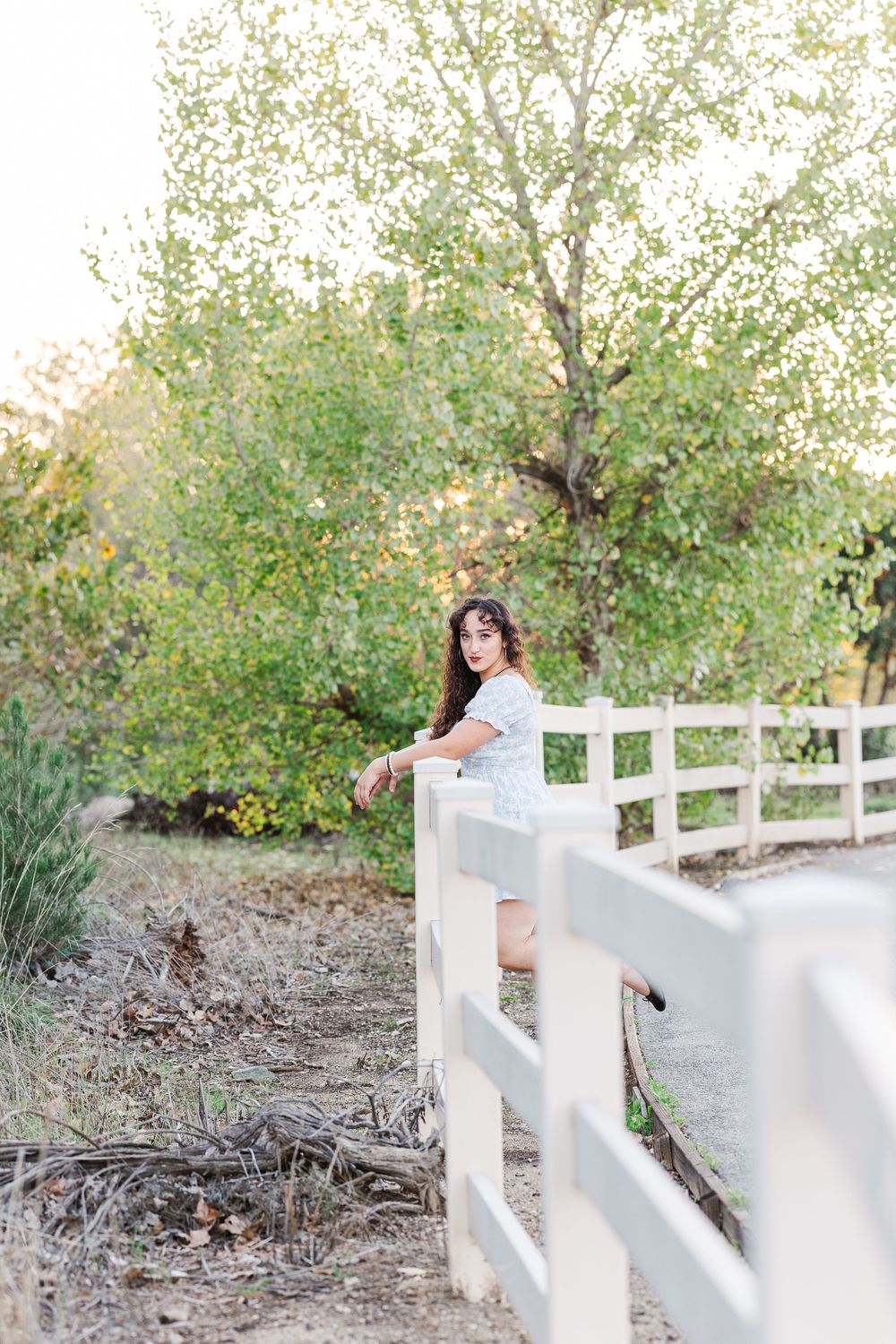 A white picket fence stretches along a dirt path with green foliage in the background during golden hour.