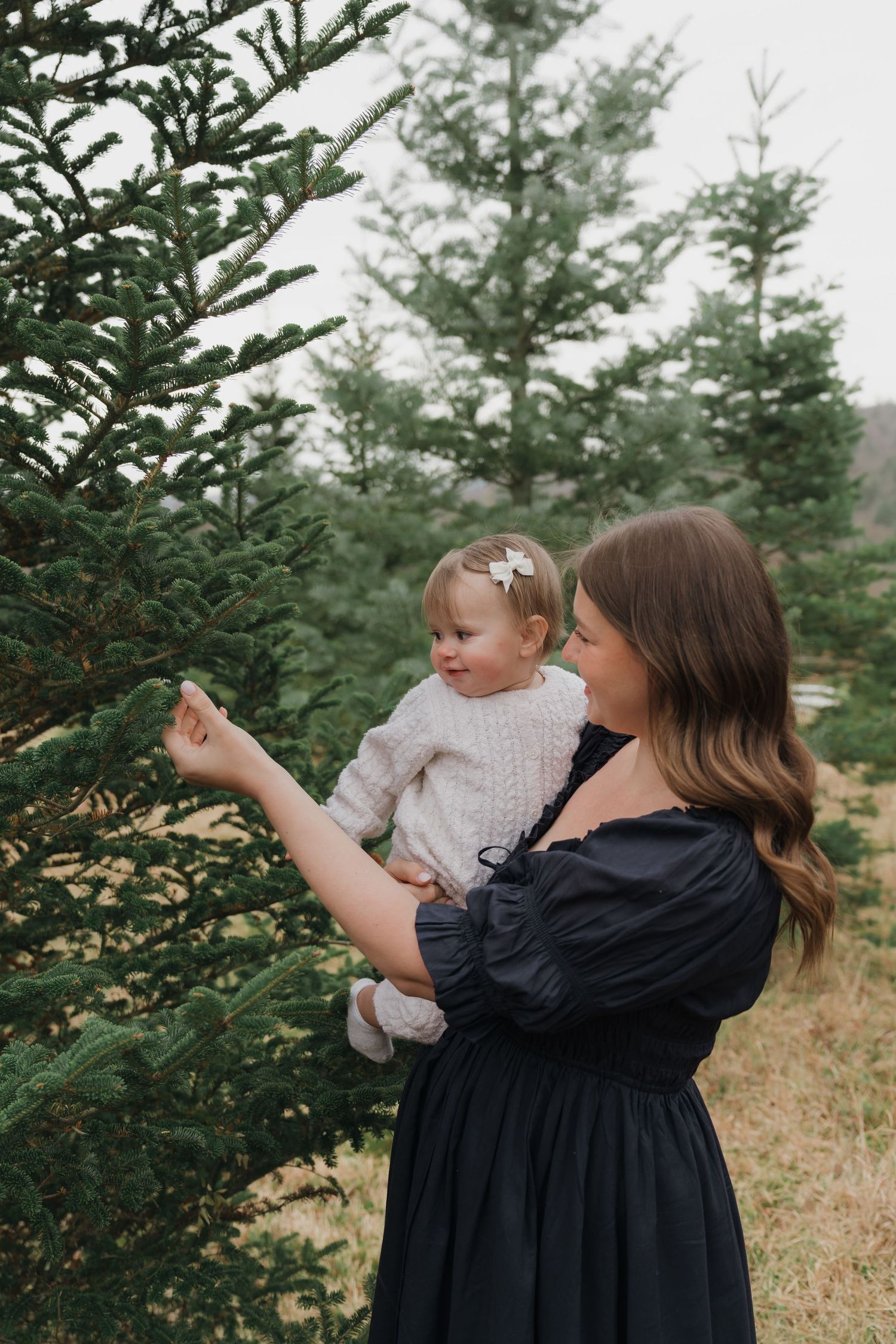 A parent and child explore together at a Christmas tree farm surrounded by tall evergreens.