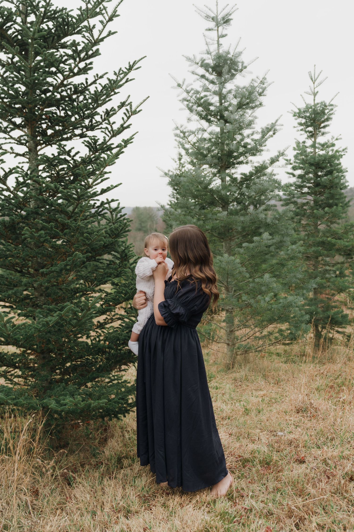 A series of evergreen trees in a field with figures in black clothing standing among them.