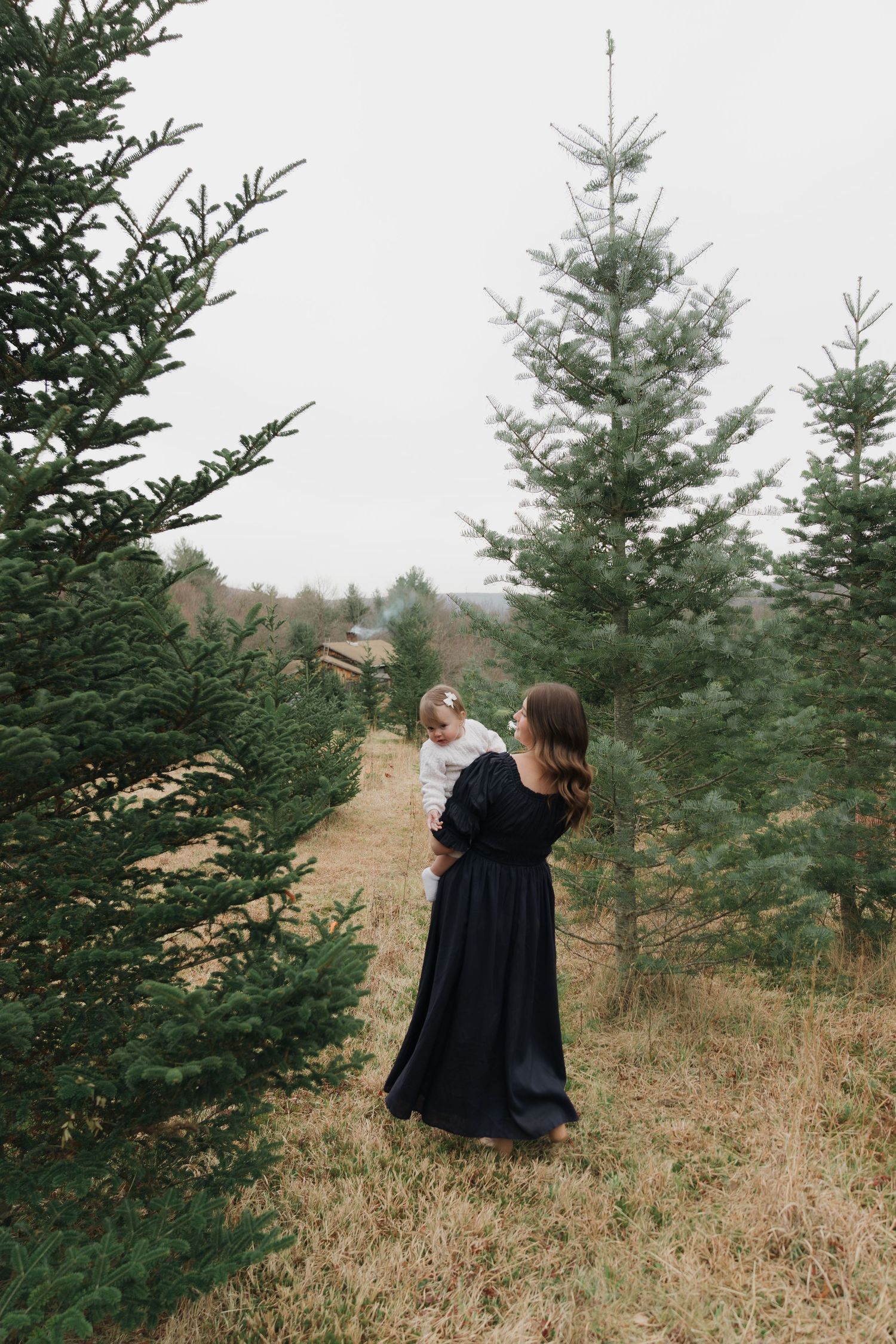 A series of photos showing someone in a dark dress walking through an evergreen Christmas tree farm on a cloudy day.