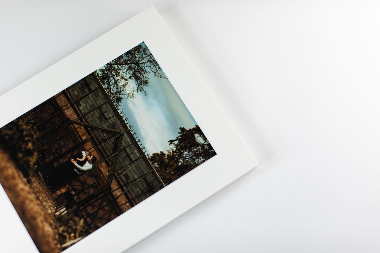 A series of polaroid-style photos showing outdoor scenes with trees and buildings arranged in a diagonal layout.