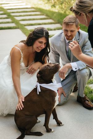 Smiling bride and groom kneel beside their chocolate Labrador wearing a white bow tie at outdoor wedding.