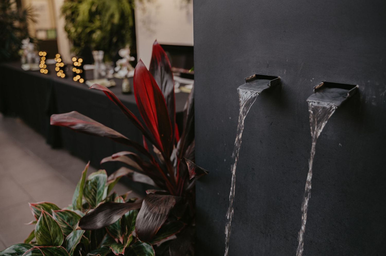 Modern water feature with two sleek spouts flowing against dark wall beside decorative red-leafed tropical plant.