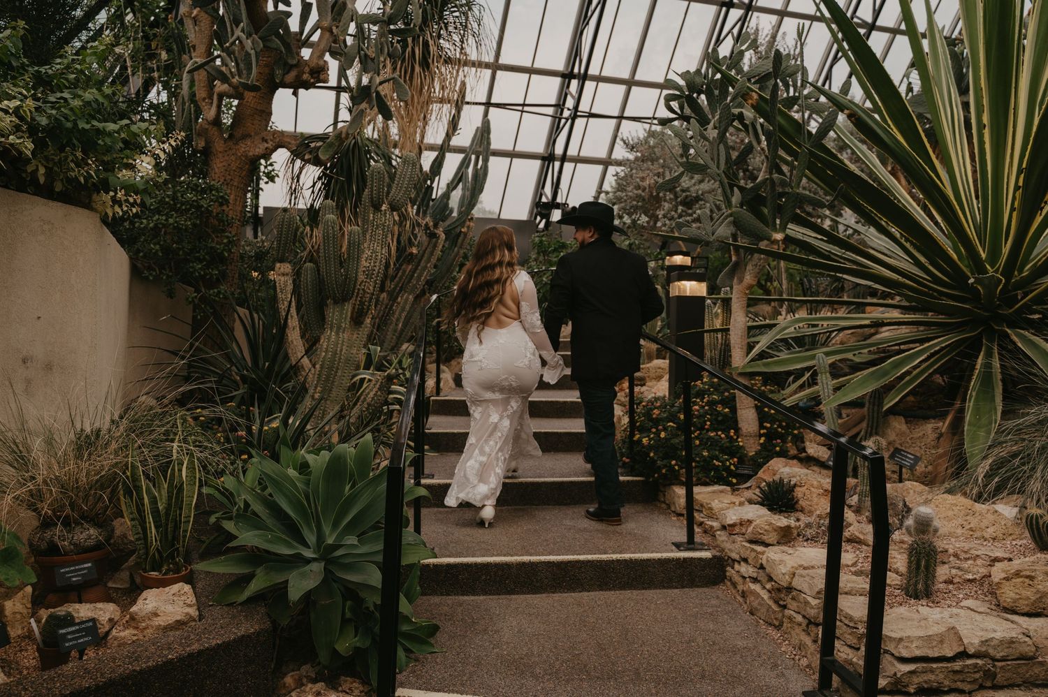 A lush greenhouse interior with tropical plants, palm fronds, and glass windows creating a natural botanical environment.