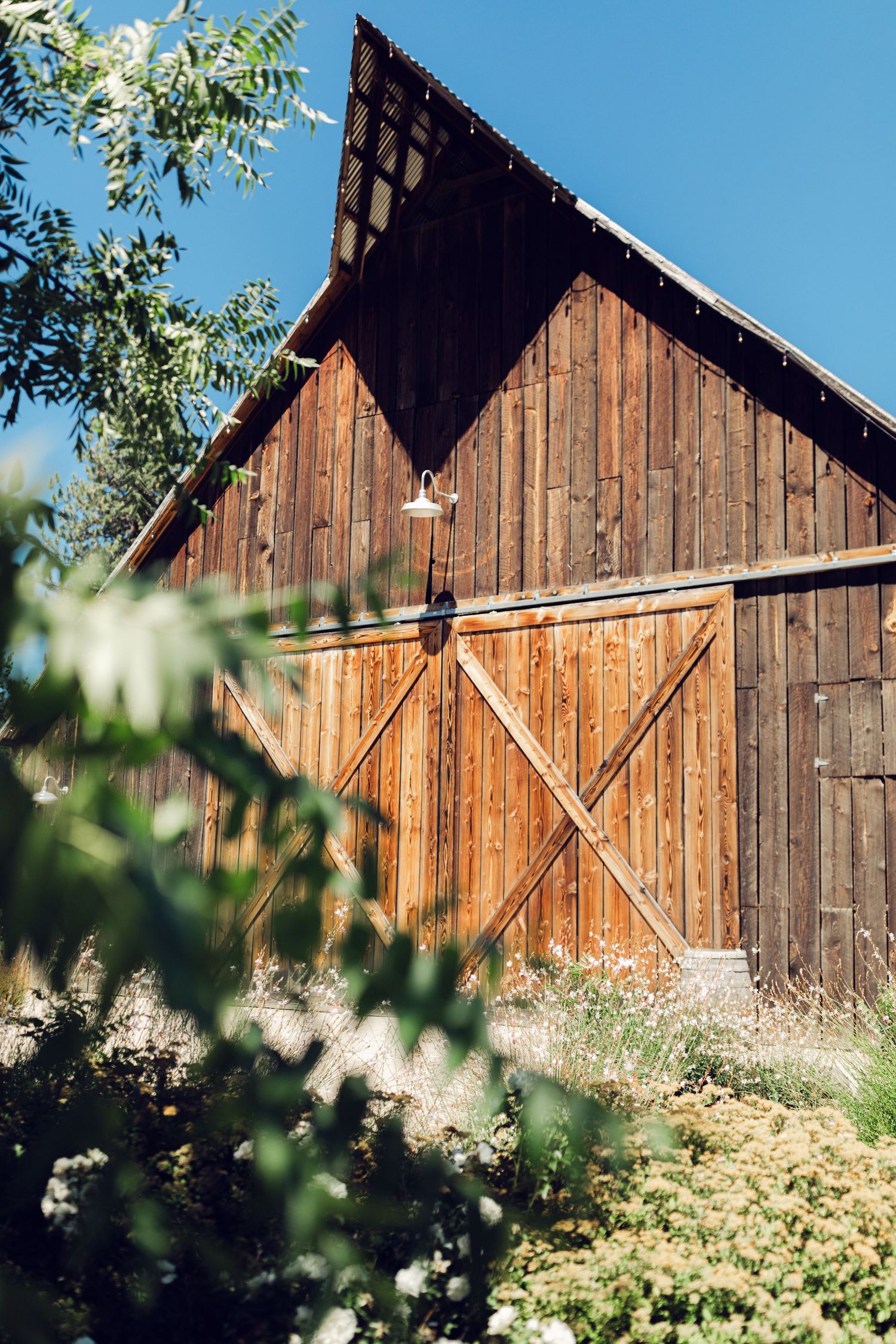 A rustic wooden barn with weathered siding stands against a blue sky, framed by green foliage in the foreground.
