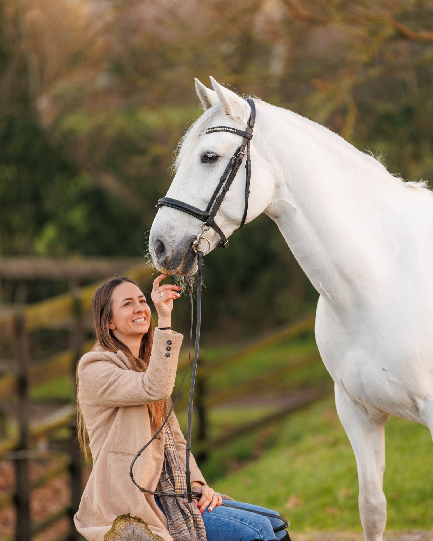 A series of photos showing a person in a white polka dot shirt with a black horse in a golden autumn field.