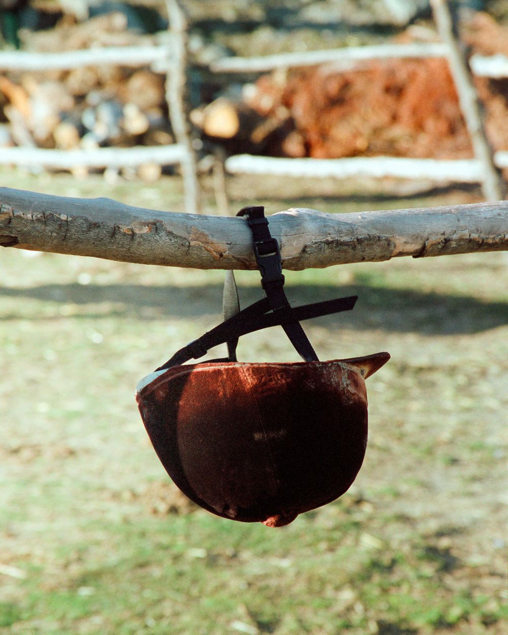 Equestrian helmet hanging from a tree branch in a rural countryside setting.