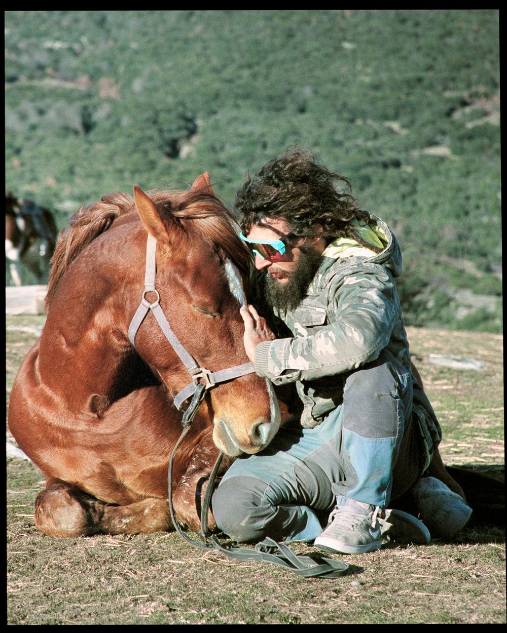 Human and horse interaction in open countryside field with mountain background.