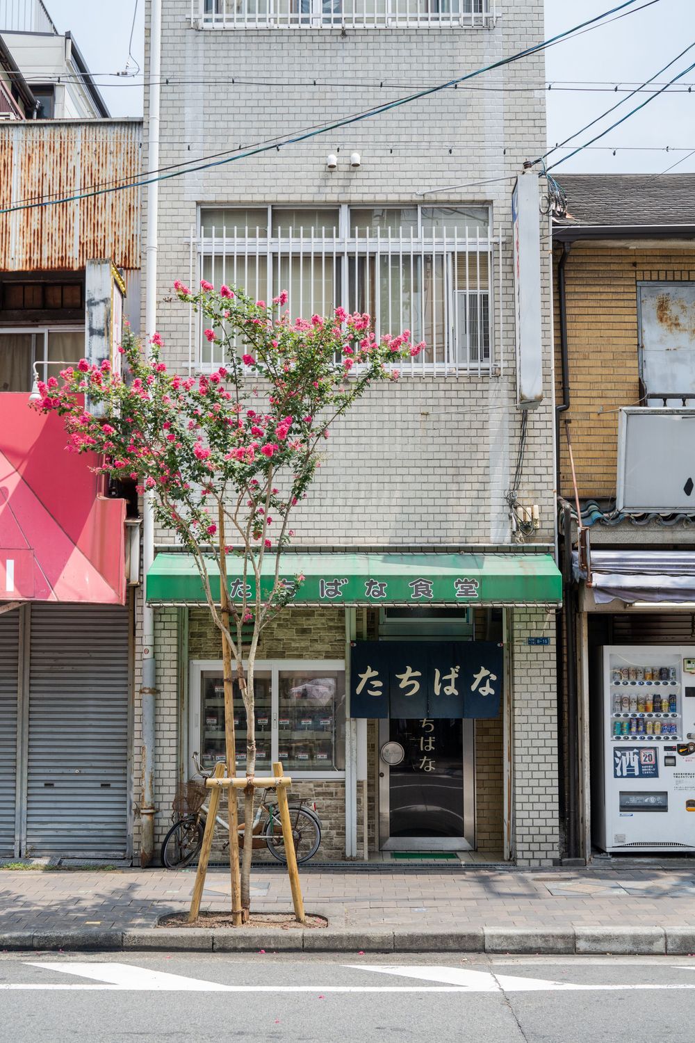 Urban Japanese street with white tiled buildings and small flowering trees along the sidewalk.
