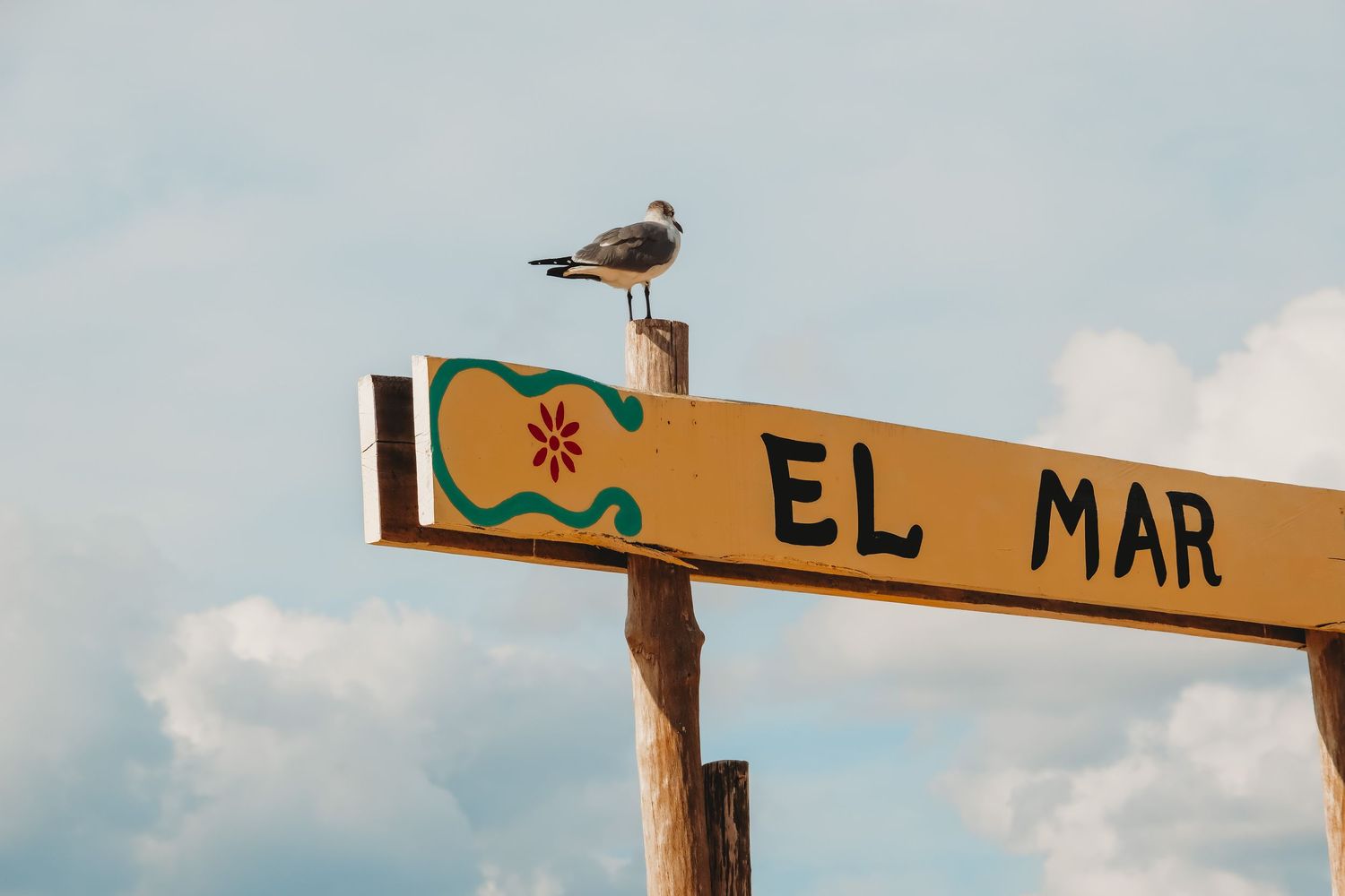 Wooden beach signpost with seagull perched on top against blue sky.