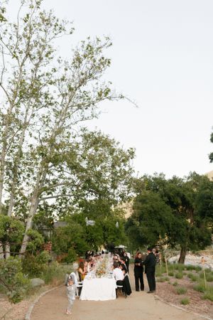 Long banquet table set under tall trees for an outdoor wedding celebration.