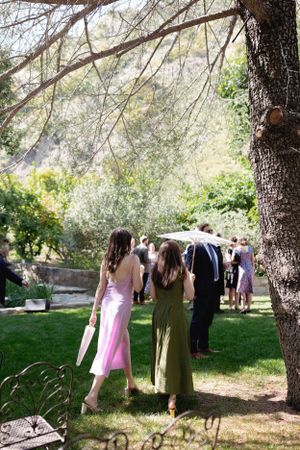 Wedding guests in elegant dresses gather under trees on a sunny lawn at an outdoor celebration.