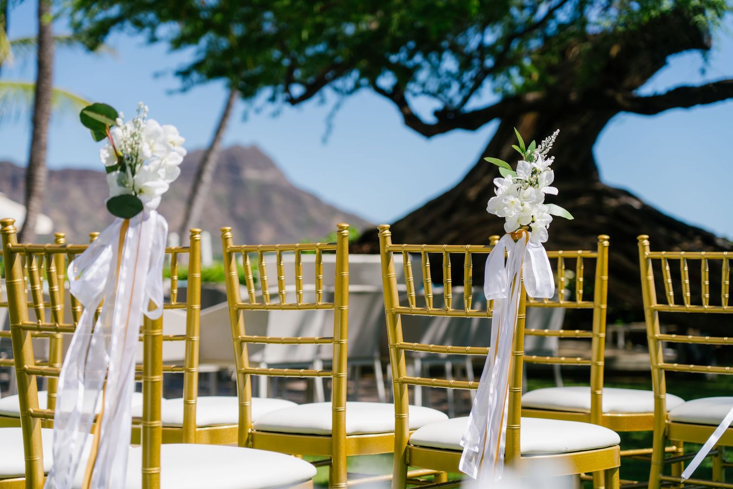Gold chiavari chairs with white floral and ribbon decorations set up for an outdoor wedding ceremony in Halekulani Hotel.
ハレクラニホテルウェディング