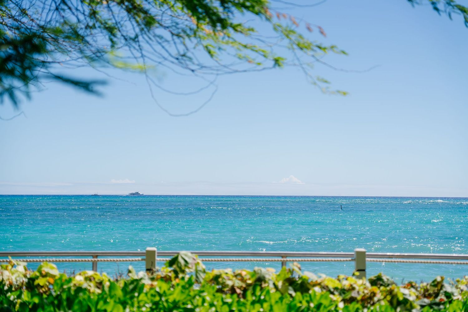 Turquoise ocean view framed by tropical foliage and a white railing under a clear blue sky in front of Halekulani Hotel.