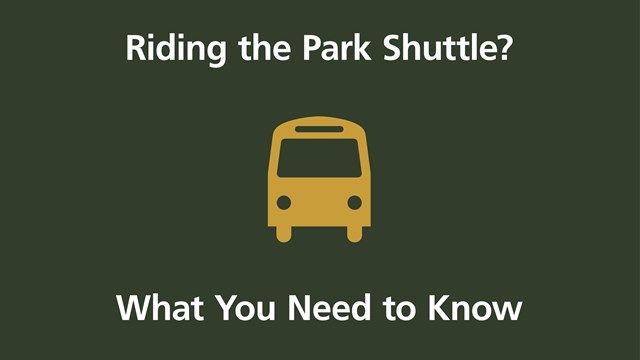 A green banner with yellow icons showing shuttle bus information and text reading 'What You Need to Know'.