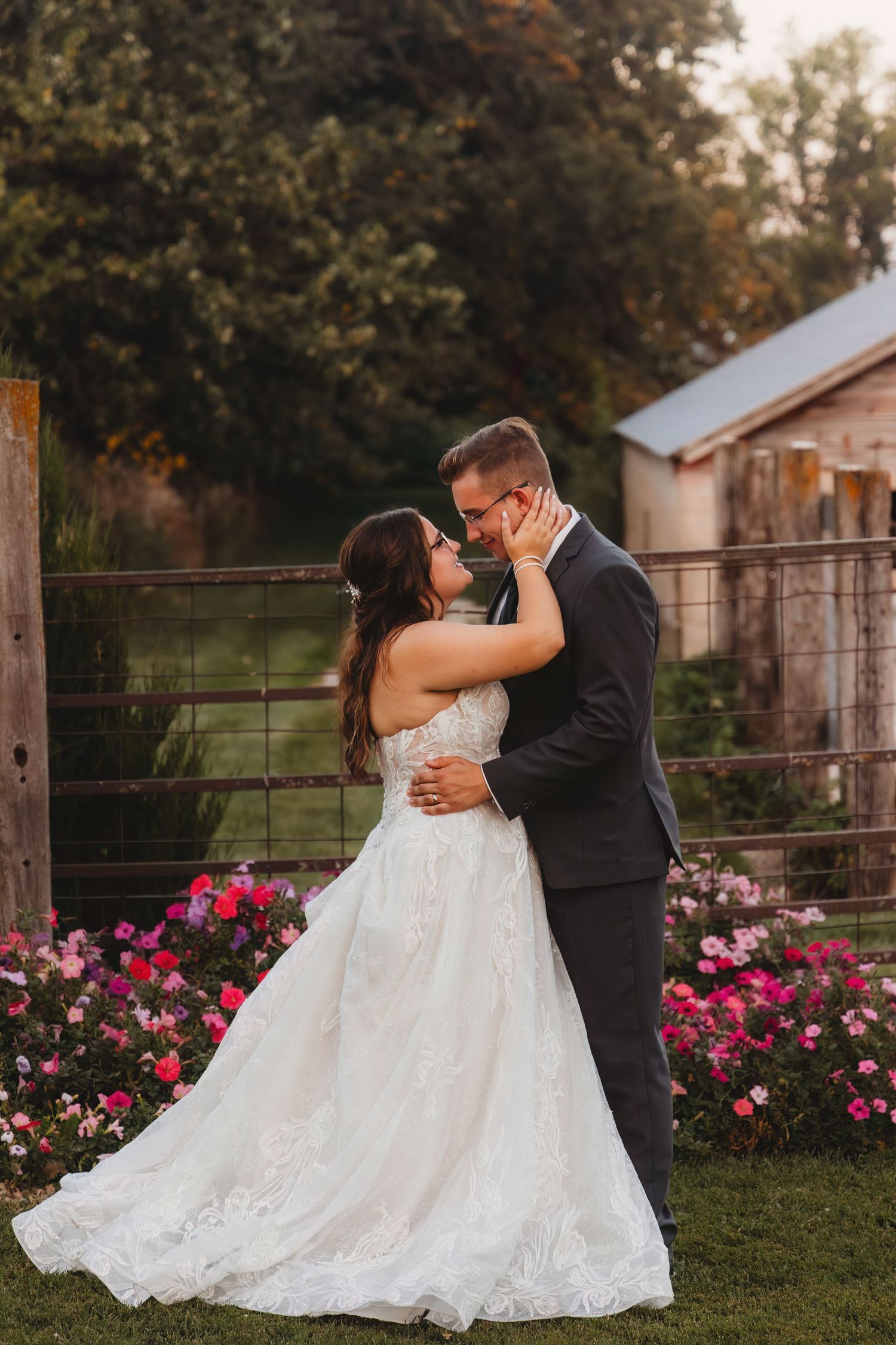 A romantic wedding couple shares a kiss at sunset surrounded by blooming pink roses and a rustic barn backdrop.
