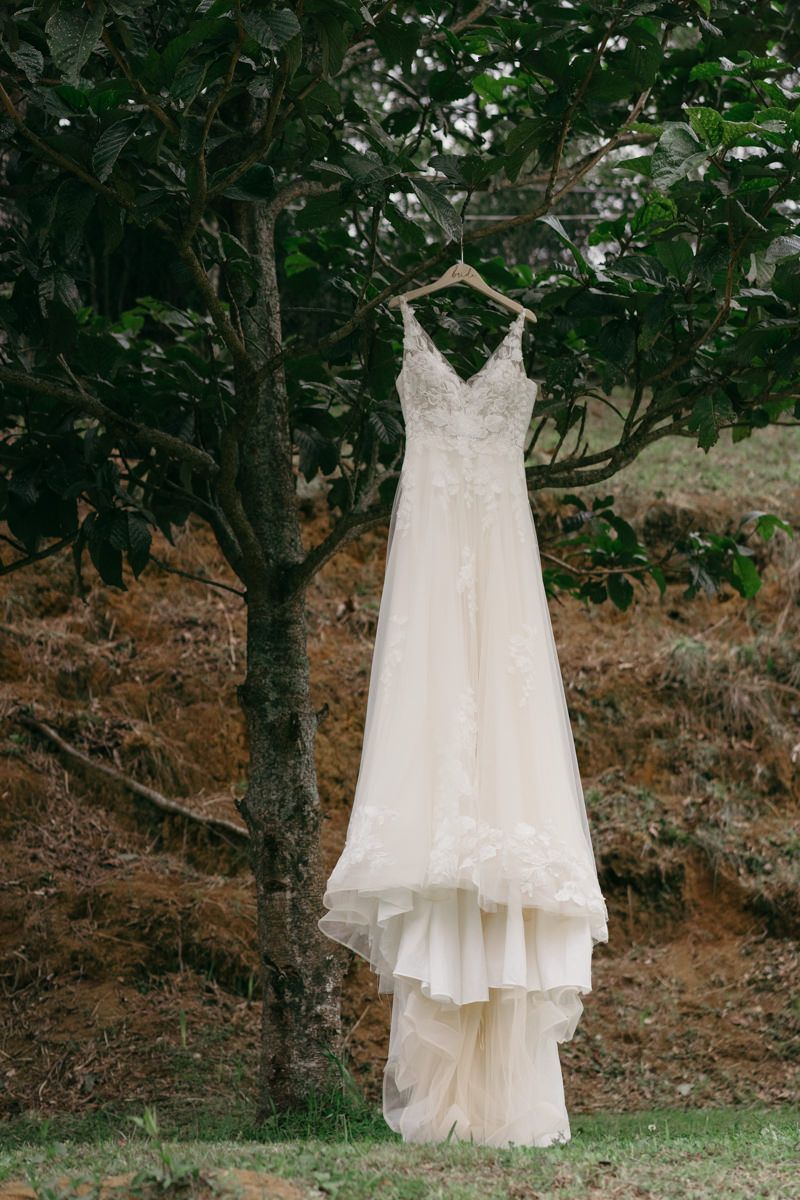 A white lace wedding dress hangs elegantly from a tree branch against a natural outdoor backdrop.