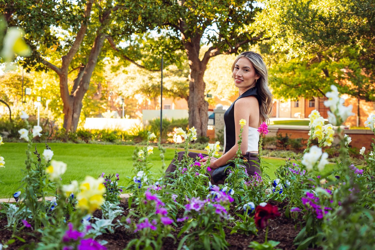 Colorful flower garden with purple blooms in front of a campus building during golden hour.
