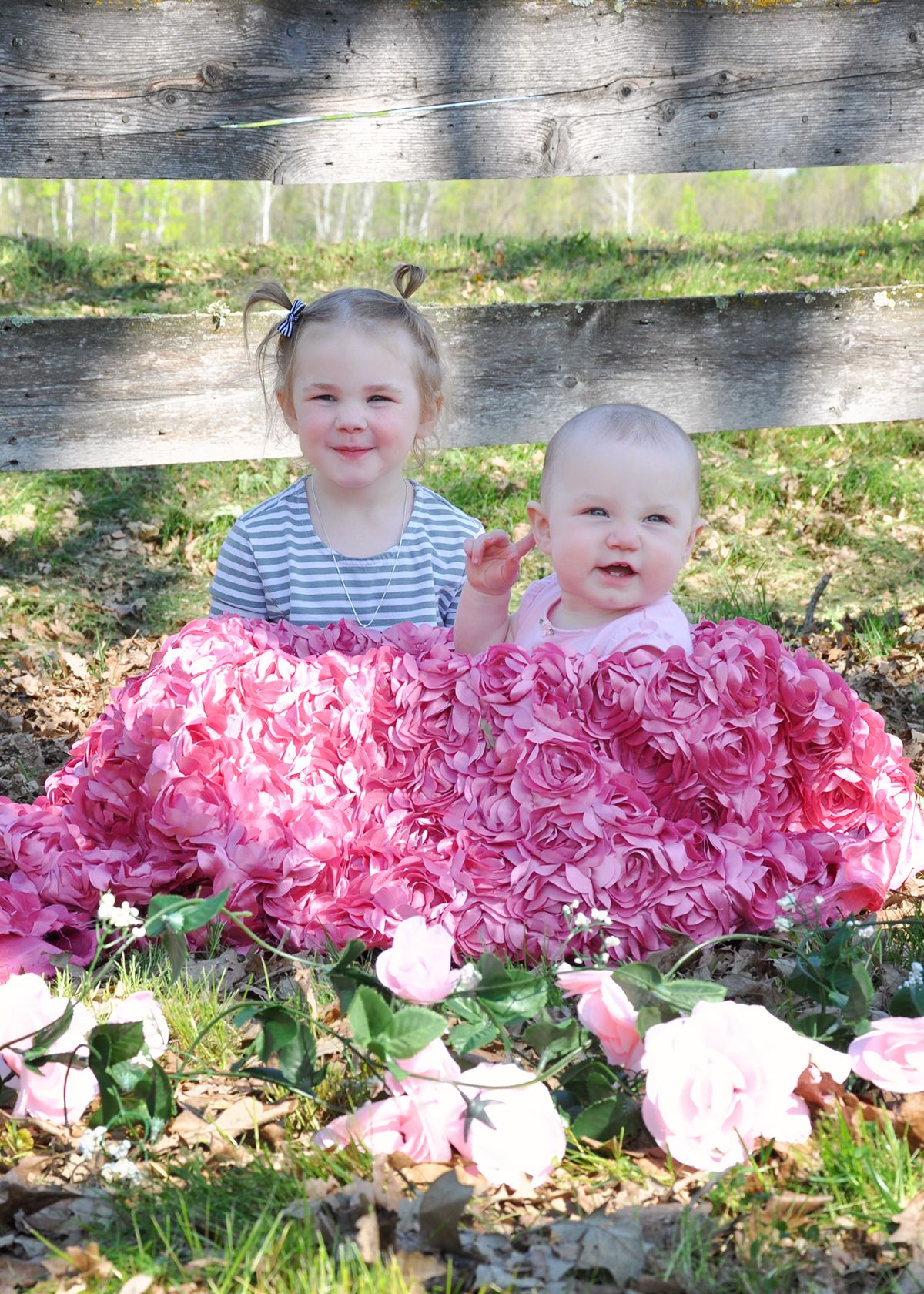 Children posing in a bed of pink flowers during an outdoor photo session.