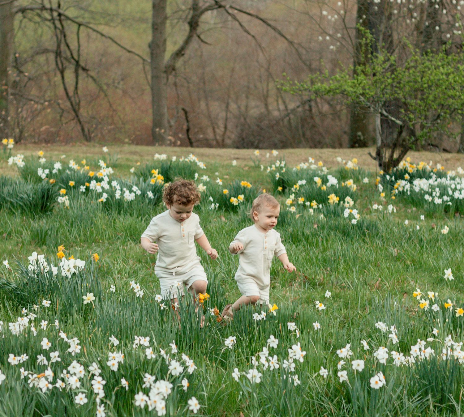 Children playing and running through a blooming spring garden filled with white daffodils and fresh green grass.