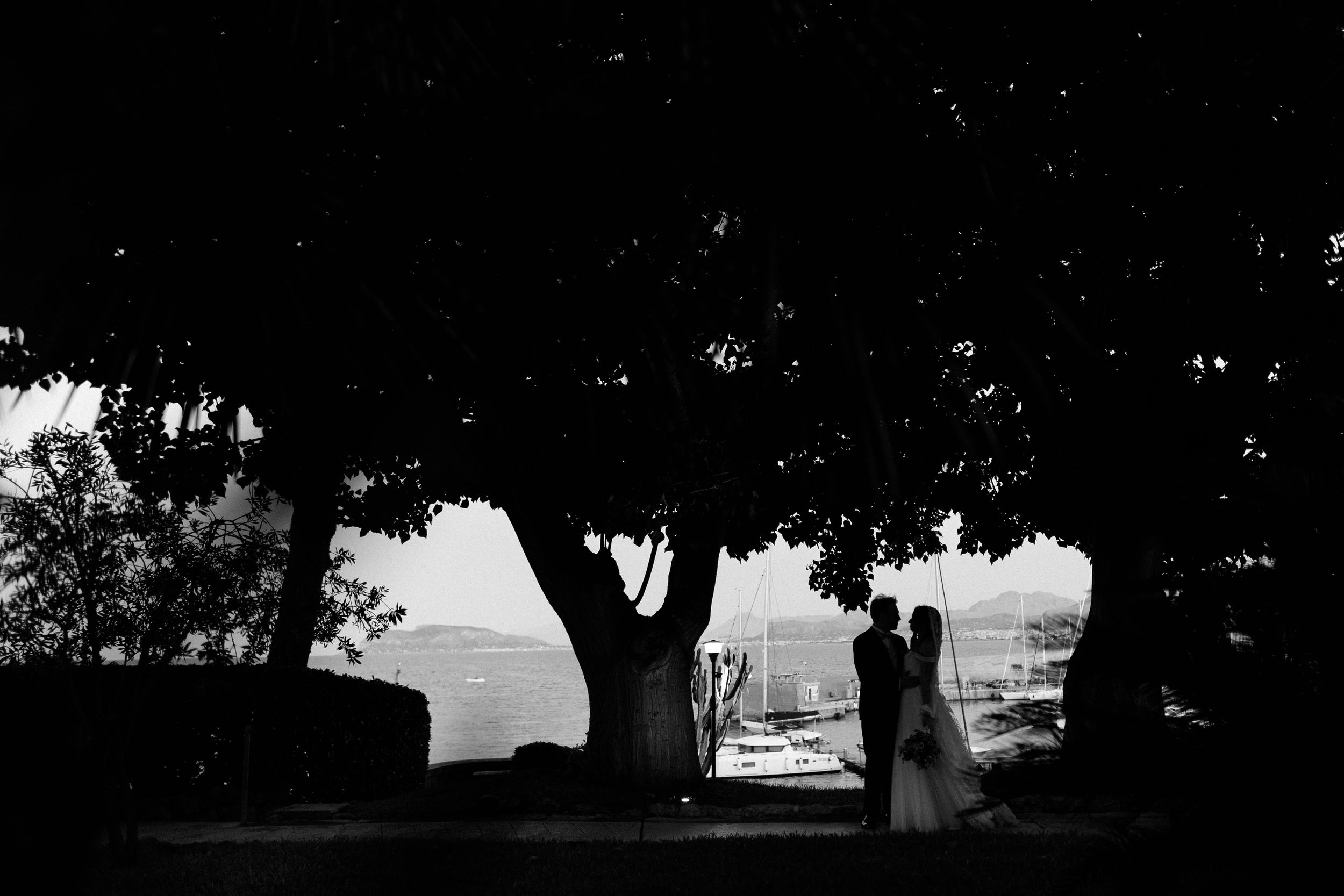 A black and white panoramic photograph shows a row of trees silhouetted against a bright sky.