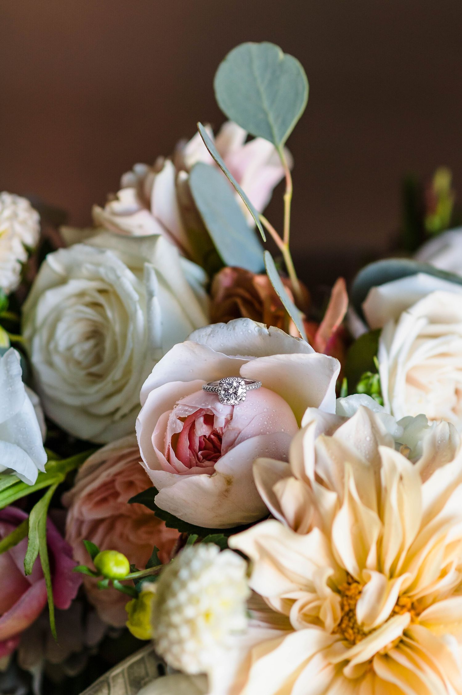 A vibrant floral arrangement features orange dahlias, white peonies, and coral berries in a stunning macro sequence.