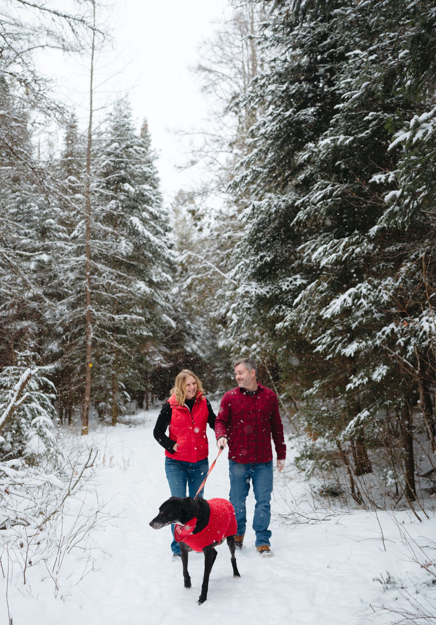 A couple walks playfully through a snowy forest path lined with evergreen trees in winter.