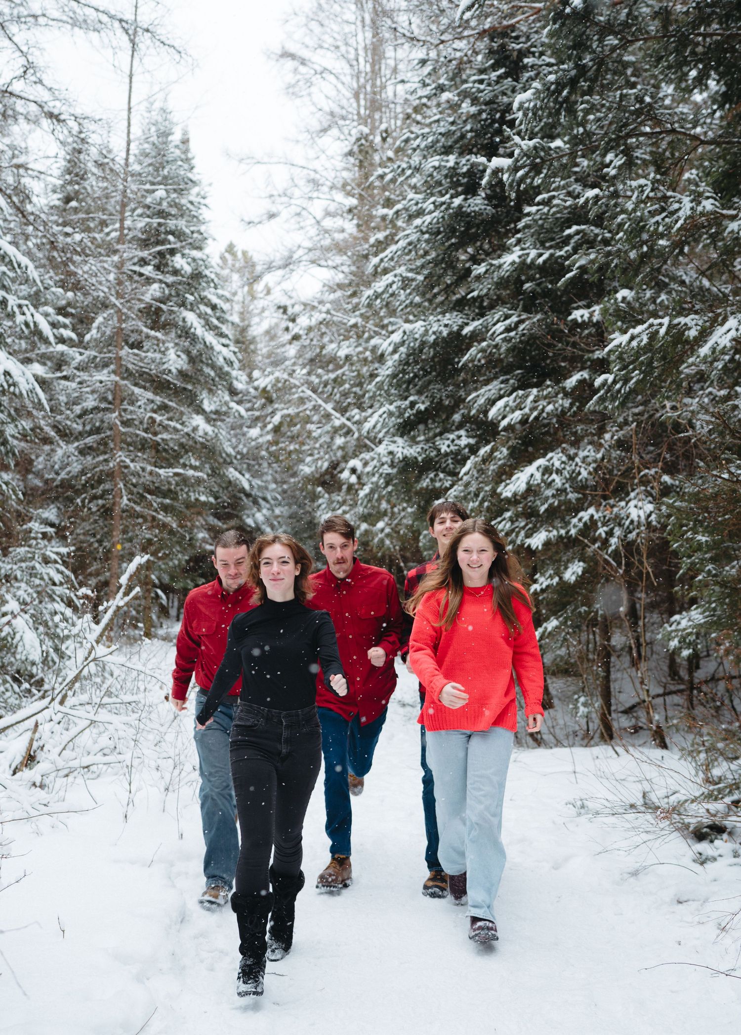 A group walks together along a snow-covered trail through evergreen trees in winter.