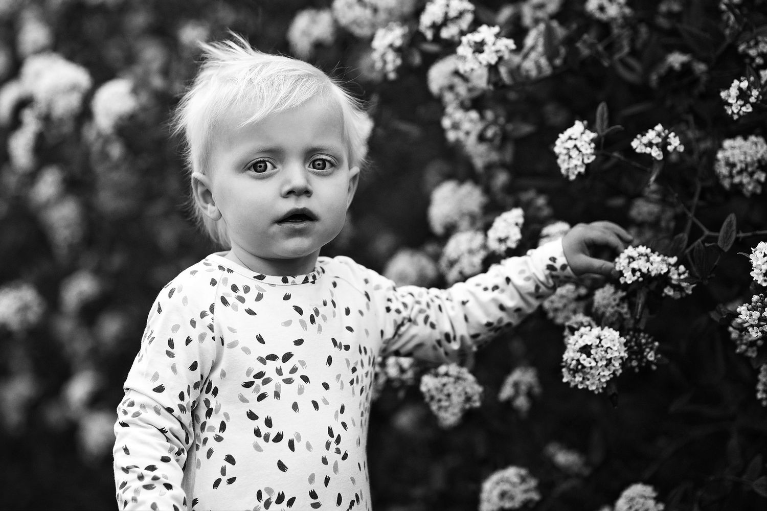 Fantastisk smukke billeder af mine børn, Jane, tusind tak! Fotograf Jane Søndberg Fotograf Århus Familiefotograf Silkeborg Børnefotograf