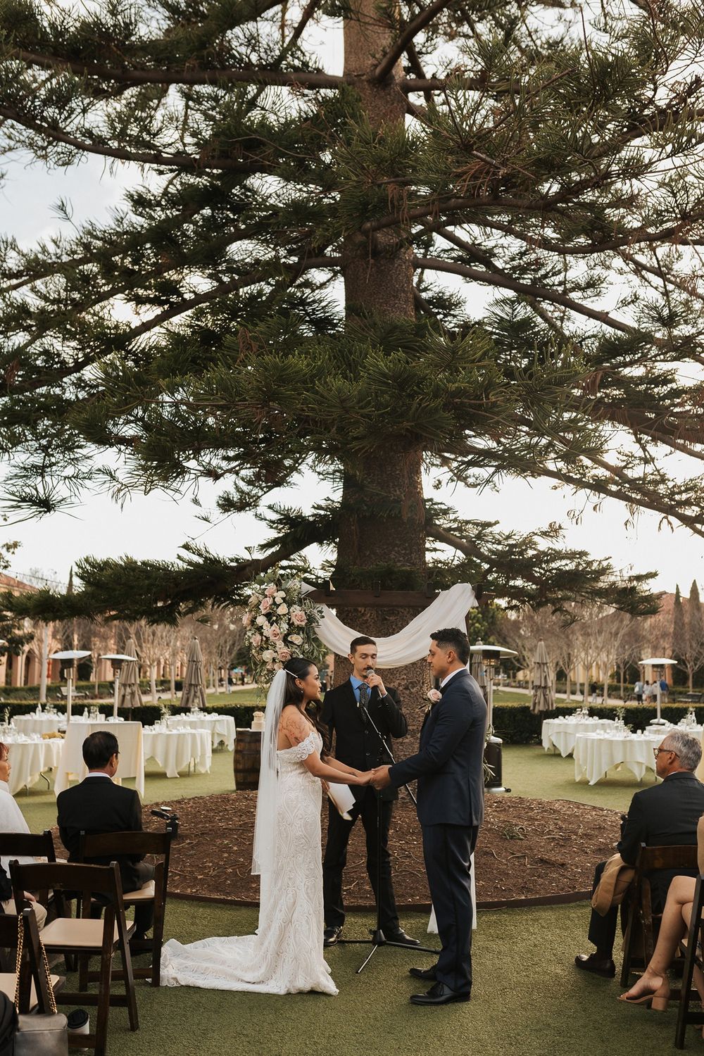 Outdoor wedding ceremony under tall pine trees set up on a grassy lawn at Stone Brewing Liberty Station in San Diego.
