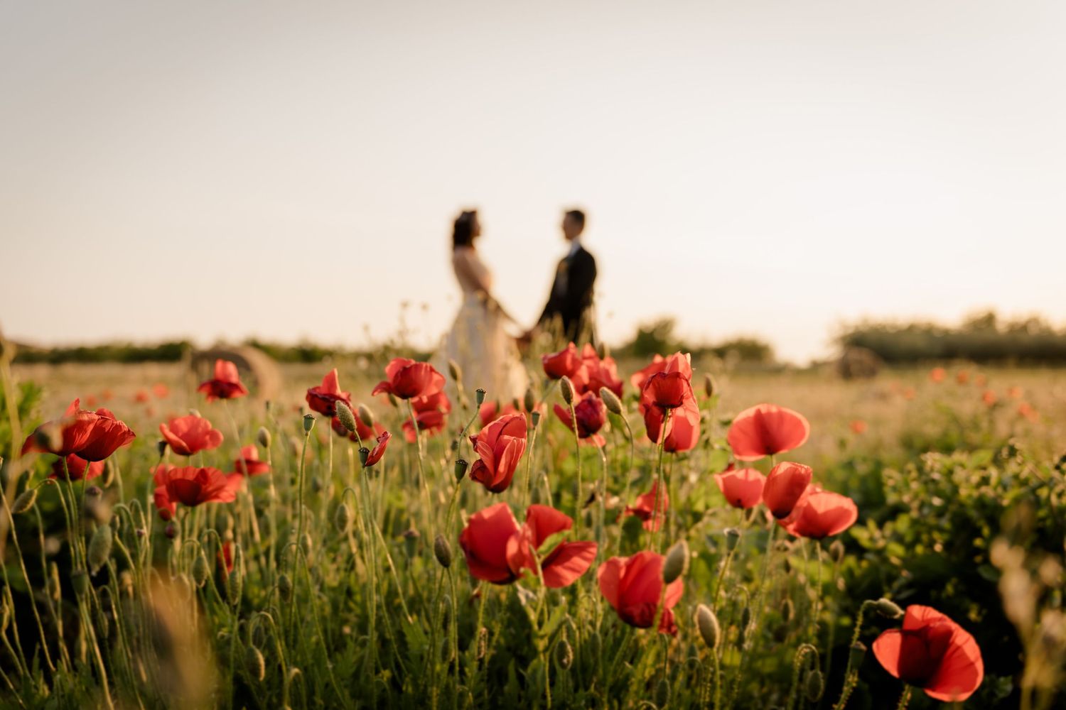 Rovinj wedding photography
Istria wedding photography
Croatia wedding photographer
Istria wedding photographer
Fotograf vjenčanja Istra